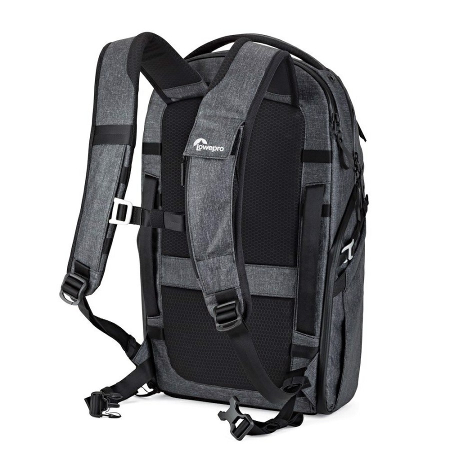 AUSRÜSTUNG Lowepro Fotorucksäcke | Freeline Rucksack 350 Aw, Grau